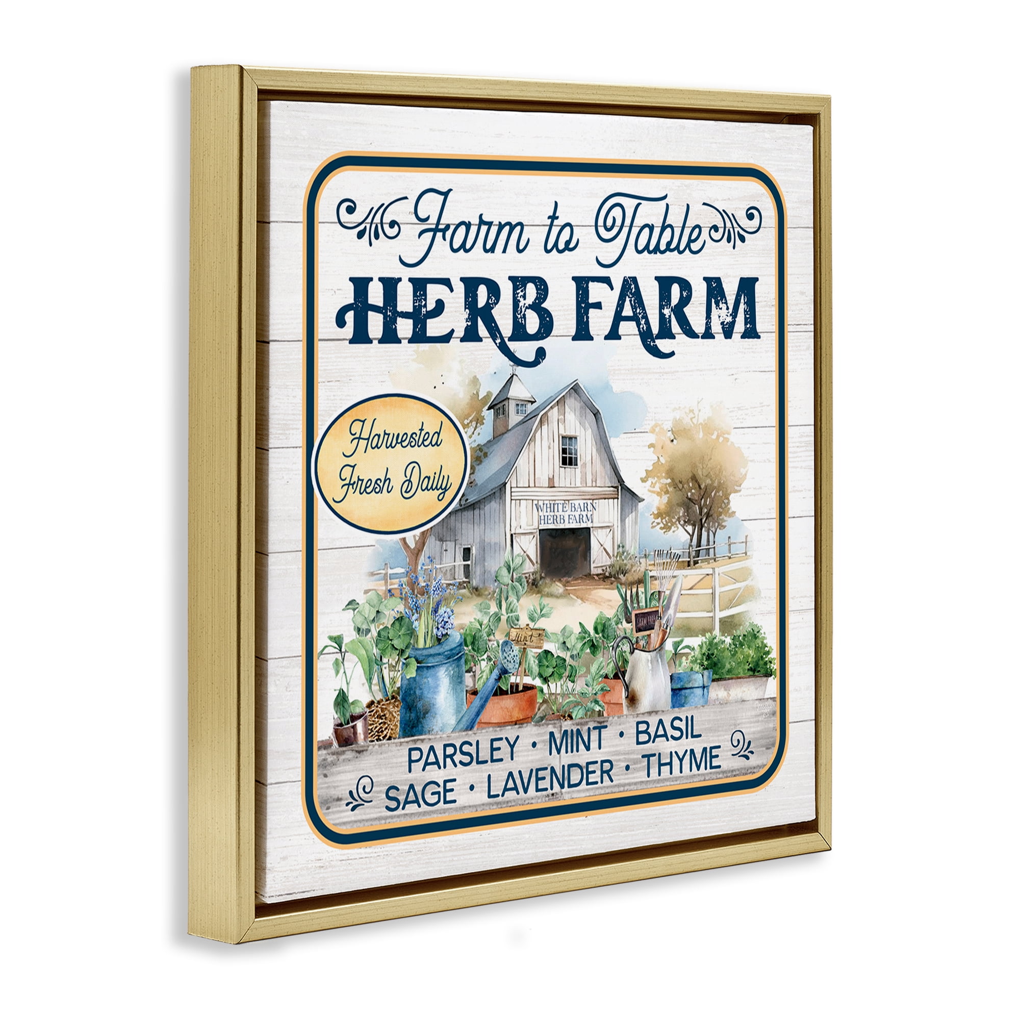 Stupell Industries Fresh Daily Herb Farm Text & Numbers Painting Gold Floater Framed Canvas Art Print Wall Art, 18 x 18