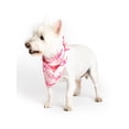 thumbnail image 2 of Paris Hilton x Monica + Andy Organic Cotton Pet Bandana, 2 of 4