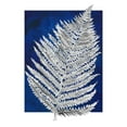 thumbnail image 3 of Medley, Elizabeth 20x24 Black Modern Framed Museum Art Print Titled - Blue Fern in White Border II, 3 of 5