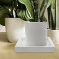 thumbnail image 5 of TEHAUX 1Pcs Plastic Flowerpot Tray for Leakproof and Heavy Bearing 8.9x8.9x1.4in, 5 of 8