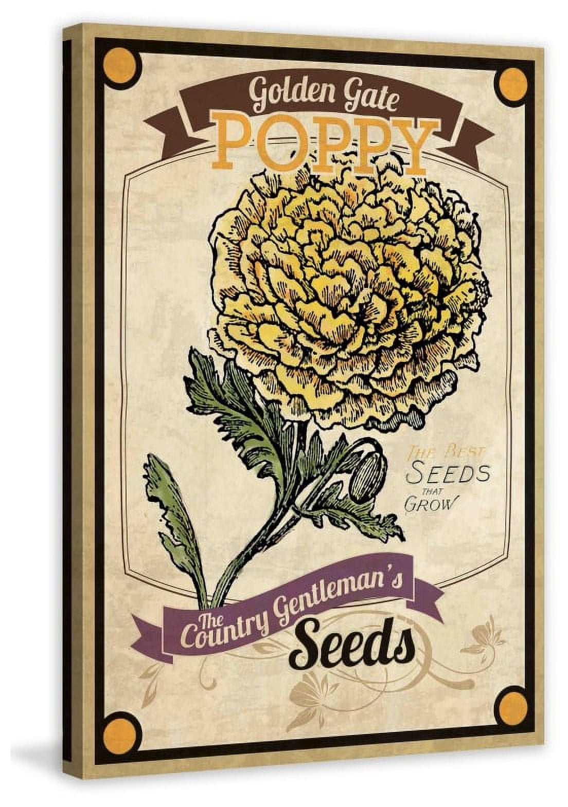 Marmont Hill "Flower Packet Poppy" Painting Print on Canvas