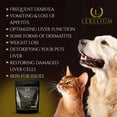 thumbnail image 4 of Lexelium Liver Support Supplement for Dogs and Cats - Great for Detoxing and Helps Kidney, Liver & Skin Function - Cat Liver Support - Milk Thistle + Lysine + Choline Bitartrate + Methionine - 200g, 4 of 5