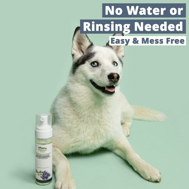 Dog foam shampoo deals