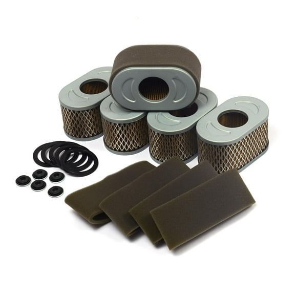 Briggs and Stratton Air FIlter (5 of 797033)