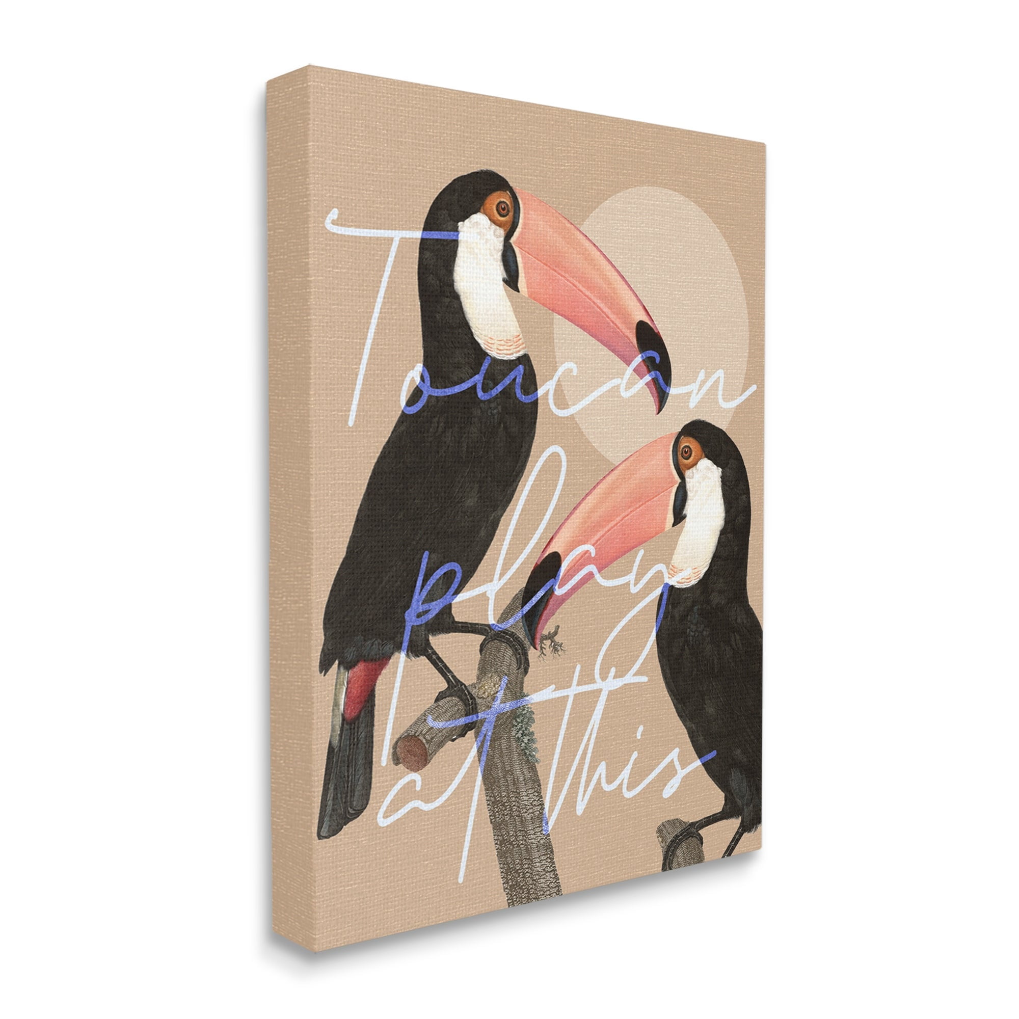 Stupell Industries Toucan Play at This Funny Phrase Tropical Birds, 36 x 48,Design by Daphne Polselli
