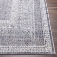 thumbnail image 3 of Alice Medium Gray 6'10" x 9' Traditional Rectangle Area Rug, 3 of 6