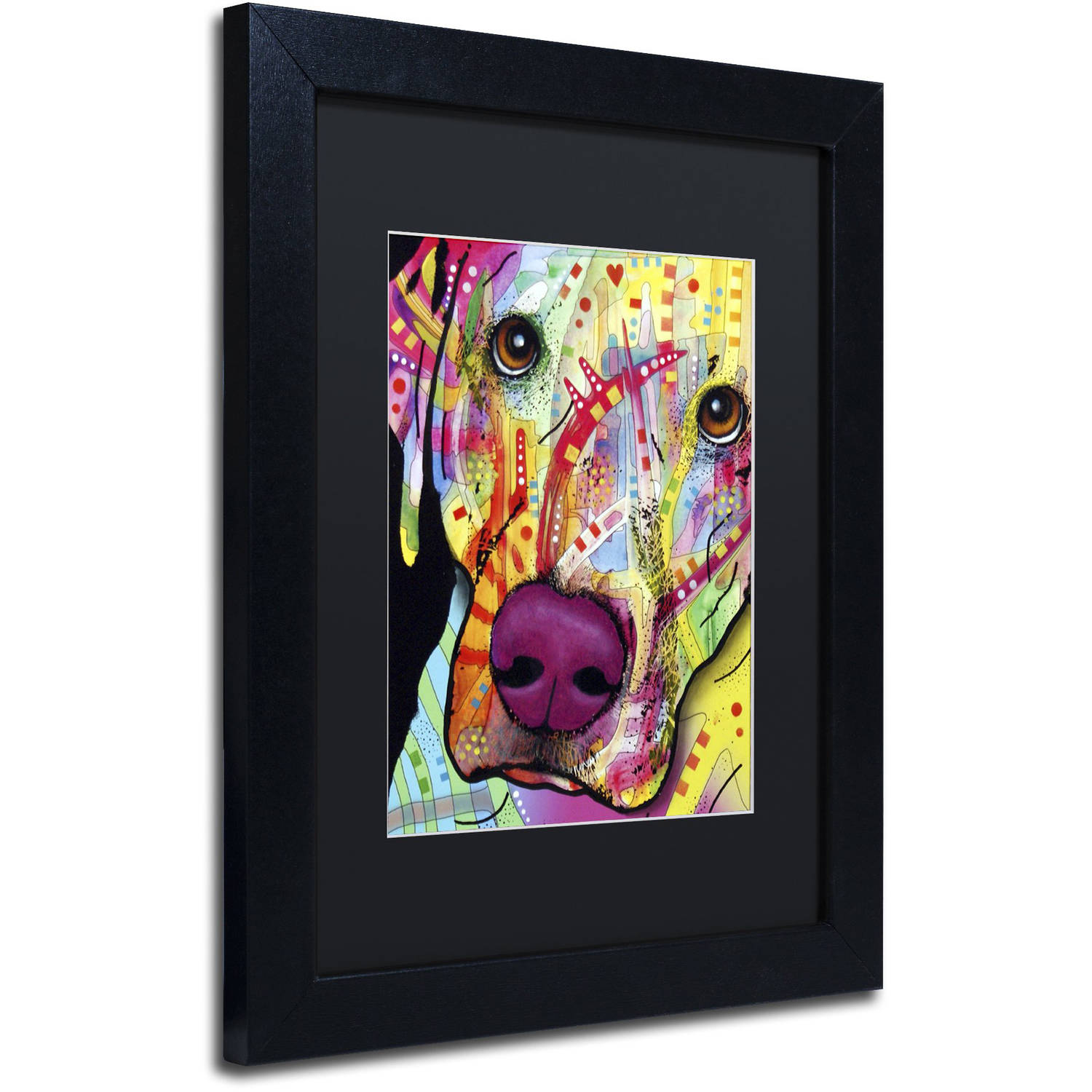 Trademark Fine Art 'Close Up Lab' Canvas Art by Dean Russo, Black Matte, Black Frame