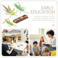 thumbnail image 5 of 2 Sets Grasshopper Growth Cycle Imaginative Play Toy Kids Child, 5 of 8