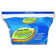 Natural Choice 100ct Refill Wipes