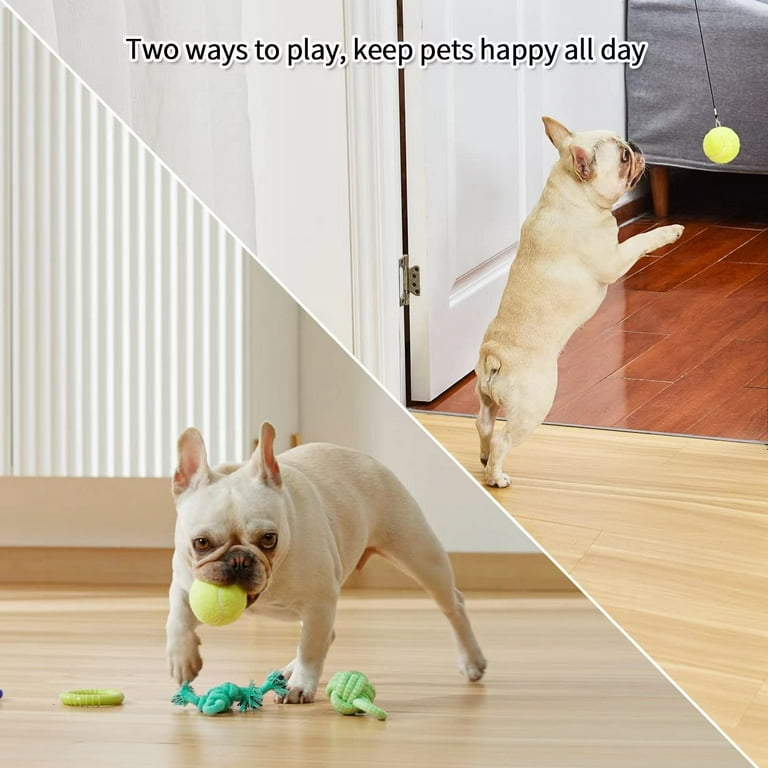 CZPET Puppy Toys 6PCS Set Puppy Chase Toys Pet Automatic Elastic Hanging  Rope Door Interactive Energy Jump Exercise Toys Tennis Ball Knot Ring Chew
