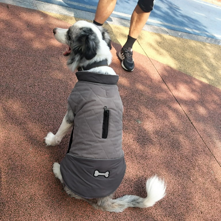 Walmart dog best sale jackets