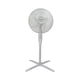 thumbnail image 1 of Ventilador de Pedestal Taurus 16' 3 Aspas 127V/60Hz/45w, 1 of 6