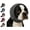 Black, variant on Dog Noise Cancelling Ear Wrap, Adjustable Ear Protection Muffs with Soft Comfort Design for Fireworks Thunder Grooming Bathing