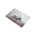 thumbnail image 2 of MKHERT Surreal Zebra and Its Black Stripes Cool Animal Doormat Rug Home Decor Floor Mat Bath Mat 23.6x15.7 inch, 2 of 3