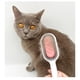 thumbnail image 5 of Removedor de nudos para mascotas, removedor de nudos para mascotas, masaje, removedor de nudos para el cabello de mascotas, herramienta de cuidado del cabello para mascotas, mejore su experiencia, 5 of 8
