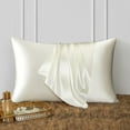 thumbnail image 2 of DISANGNI 100% Natural Mulberry Silk Pillow case for Hair and Skin with Hidden Zipper 22 Momme Both Sides Real Silk Pillow Case (1pc King Size 20" x36", White), 2 of 6