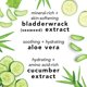 thumbnail image 5 of Mario Badescu Spray facial Aloe, agua de rosas y pepino – Dúo de té verde para cara, cuello o cabello, niebla facial refrescante e hidratante para todo tipo de piel, ac, 5 of 11