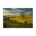thumbnail image 2 of Gango Home Decor Summer Sun by Mark Geistweite (Printed on Paper); One 36x24in Fine Art Paper Giclee Print, 2 of 4