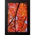 thumbnail image 2 of Hausenflock, Alan 11x14 Black Modern Framed Museum Art Print Titled - Autumn Glory I, 2 of 5