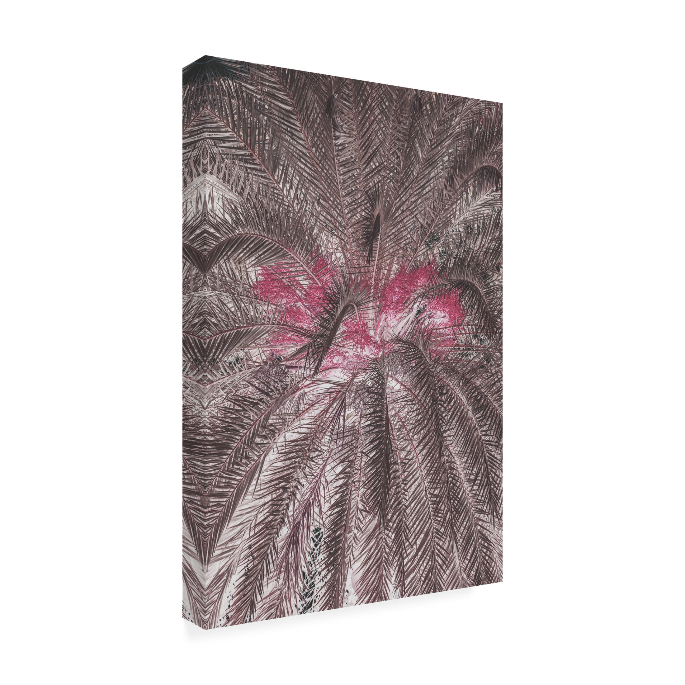Trademark Fine Art Shot by Clint Theophrastii Canvas Wall Art