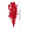 thumbnail image 2 of Uxcell 10-12 Inch Turkey Feathers, 1 Set Fluffy Bulk Natural Feathers for Crafts, Red, 2 of 5