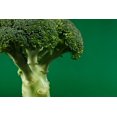 thumbnail image 5 of Calabrese Broccoli Seeds/ Annual/ Full Sun/ 9K Seeds 1 oz/Zellajake Farm and Garden - B16, 5 of 5