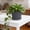 Thickened Plant Pot Under $5 a3, variant on BRELIL Thickened Flower Pot with Tray, Indoor Outdoor Plastic Plant Pot for Garden Plants, Large Planting Container for Home Decor Living Room Balcony
