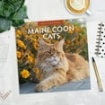 thumbnail image 3 of Red Robin 2026 Maine Coon Cats Monthly Wall Calendar | 12" x 24" Open | Premium Thick & Sturdy Paper | Hangable 12 Month Calendar | Lined Notes & To Do Area | Vivid Images | Plastic Free, 3 of 3