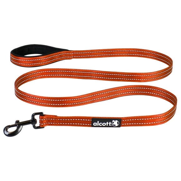 Alcott Essentials Visibility Leash - Neon Orange - Medium