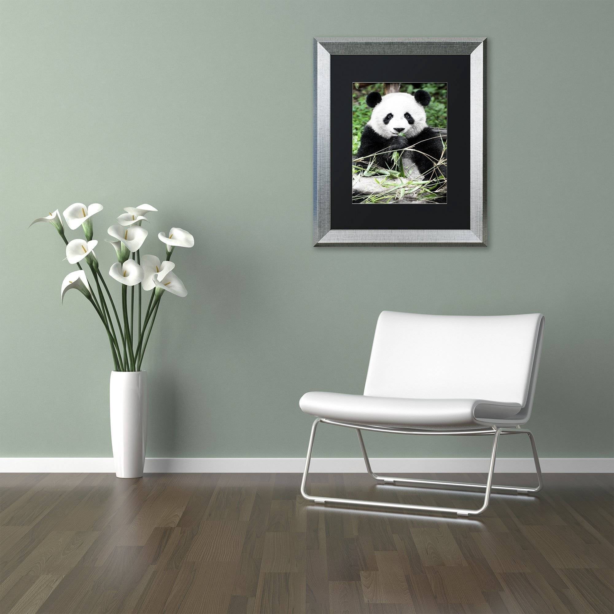 Trademark Fine Art "Giant Panda" Canvas Art by Philippe Hugonnard, Black Matte, Silver Frame