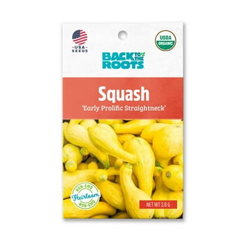 Back to the Roots  Early Prolific Straightneck Squash Garden , 1 Seed Packet
