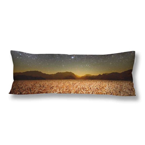 ABPHOTO Grass Galaxy Body Pillow Covers Pillowcase Throw Pillows 20x60 inch