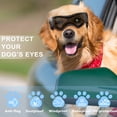 thumbnail image 4 of Gafas para Perro QUMY Protección UV para Razas Pequeñas a Medianas, 4 of 6