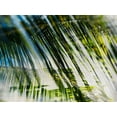 thumbnail image 2 of Pfrommer, Sven 14x12 Gold Ornate Wood Framed with Double Matting Museum Art Print Titled - Evergreen No. 10, 2 of 4