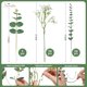 thumbnail image 3 of Tallos artificiales de eucalipto y flores con forma de aliento para bebés, 25 unidades, 3 of 8