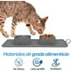 thumbnail image 2 of Plato para Mascotas Bluelander con 2 Tazones, Antideslizante, Gris, 2 of 5