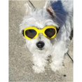 thumbnail image 5 of Gafas para perros, gafas de sol para mascotas, gafas plegables para perros, gafas de sol con protección UV (amarillo), 5 of 5