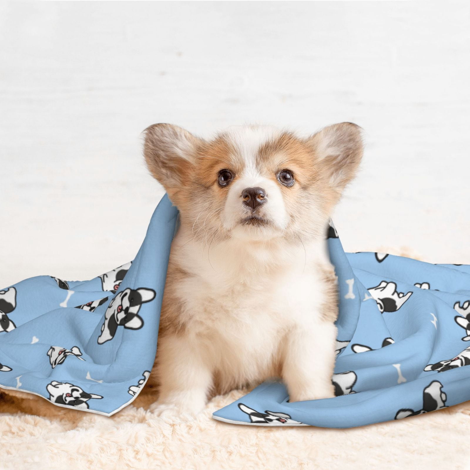 Naloa French Bulldog Puppy Dog Blanket, 3 Sizes Cat Blanket for Indoor Cats Large Medium Small Dog Gifts-Large