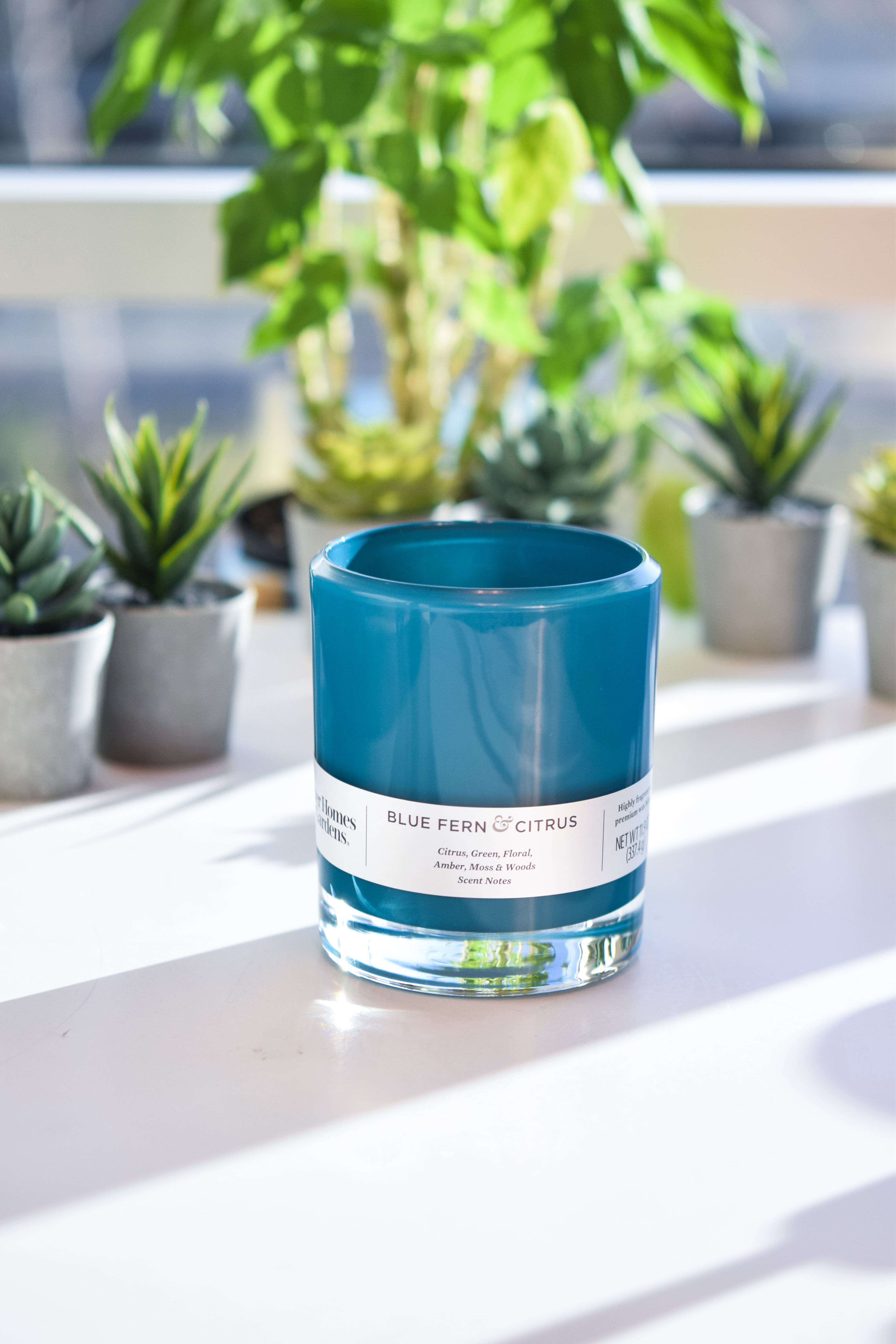 Better Homes & Gardens Blue Fern & Citrus 12oz Scented 2-wick Candle