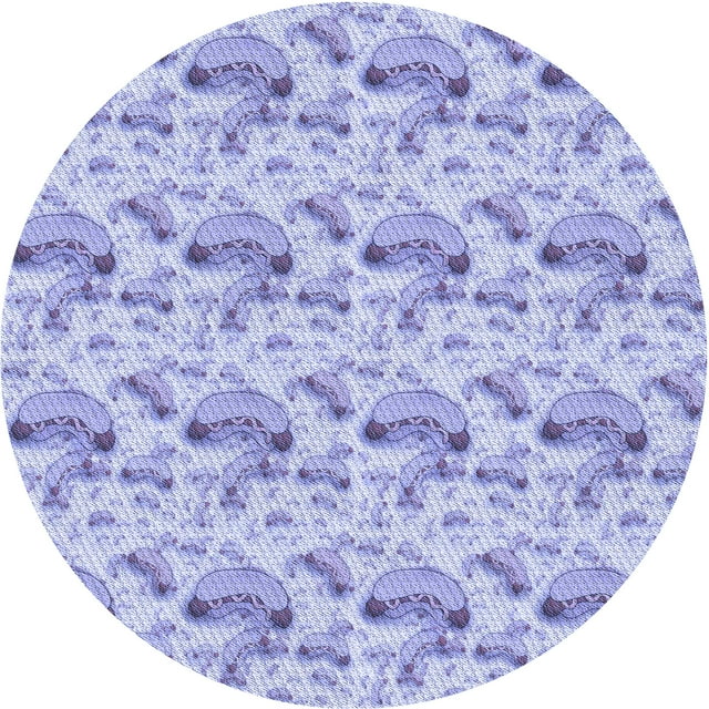 Ahgly Company Tapis d'Intérieur Rond Lavable en Machine Transitionnel Violet, 6 Pieds Rond
