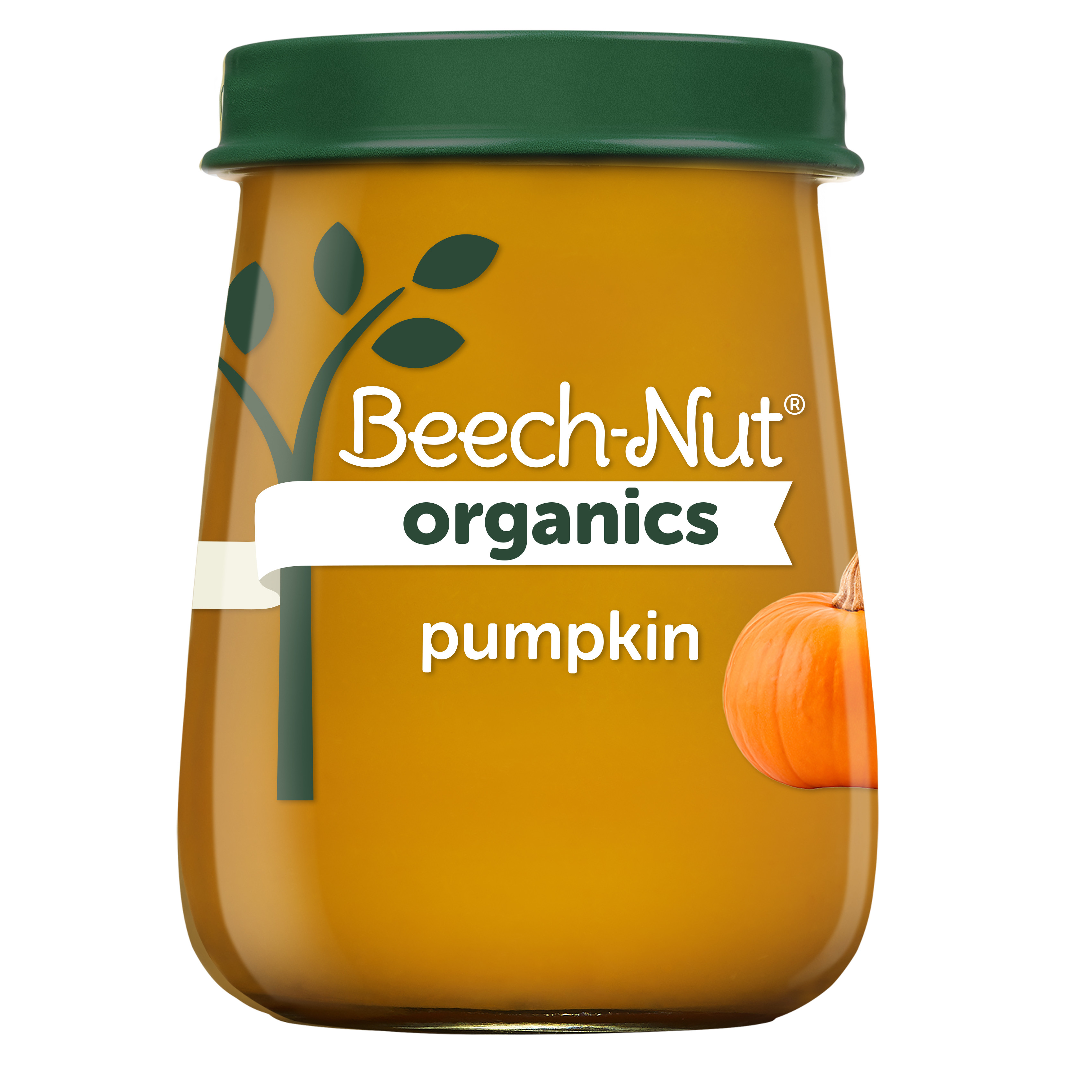 beechnut pumpkin baby food
