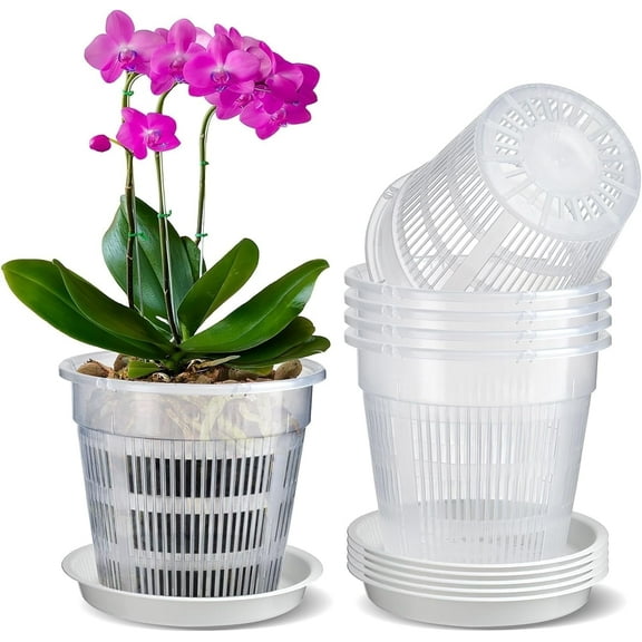 IWNTWY Orchid Pot 6 Pack 6.3" Clear Plastic Orchid Pots with Holes for Repotting, Breathable Slotted Orchid Planters