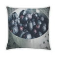 thumbnail image 1 of Ahgly Company Foods Blueberries Outdoor Throw Pillow, 18 inch by 18 inch, 1 of 5