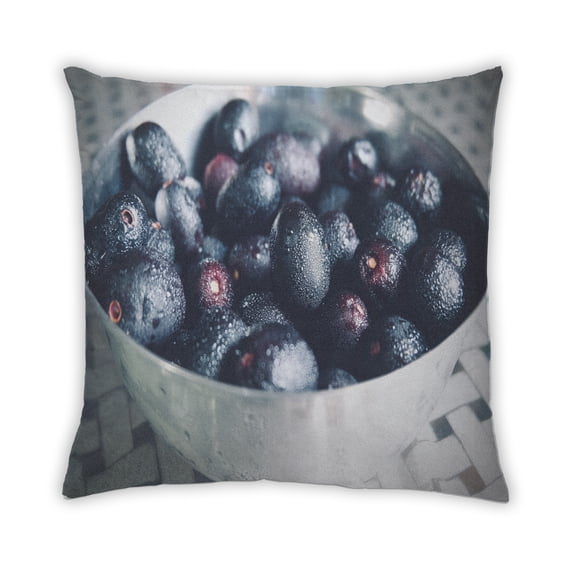 Ahgly Company Foods Blueberries Outdoor Throw Pillow, 18 inch by 18 inch