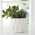 thumbnail image 2 of Better Homes & Gardens Pottery 5" Devi Round Ceramic Planter, White, 2 of 9