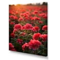 thumbnail image 2 of Designart "Photographic Field Of Geraniums II" Geraniums Canvas Prints, 2 of 7