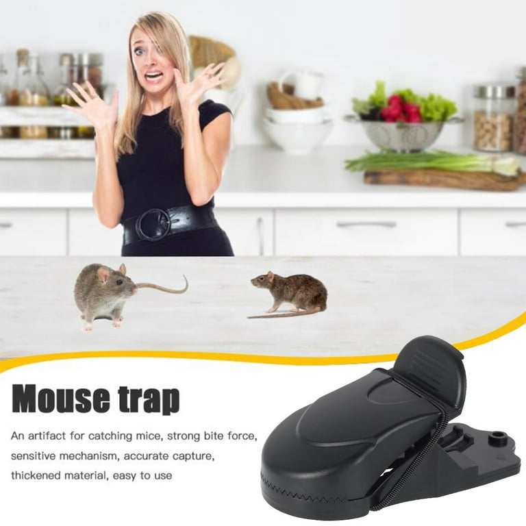 The Best Mouse Traps to Buy - Humane, Electric, Snap