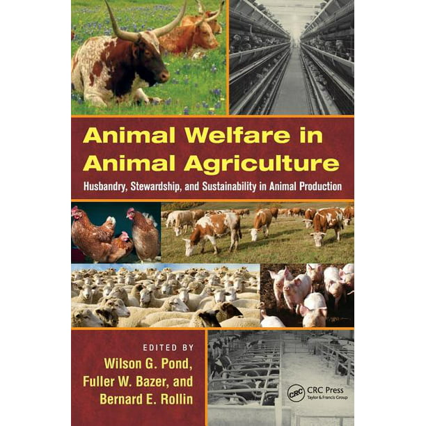 Animal Welfare in Animal Agriculture : Husbandry, Stewardship, and  Sustainability in Animal Production (Hardcover) 
