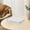 S, variant on Silicook Flat Plastic Box for Kitchen and Refrigerator Organization, Transparent Food Storage Container, Cheese Dispenser, Refrigerator Fruit Organiser, Ginger Garlic Spice Storage Container