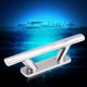 thumbnail image 1 of Cornamusa De Barco, Accesorios Duraderos De Amarre De Barco De Acero Inoxidable 316, 8.0 X 1.4 X 2.1 Pulgadas Para Amarre De Barco De Cubierta Marina ANGGREK Boat Mooring Cleat, 1 of 8